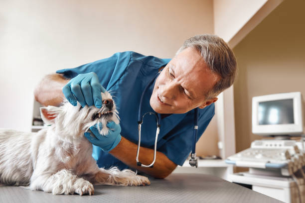 Best Emergency Tooth Extraction in Plainview, TN