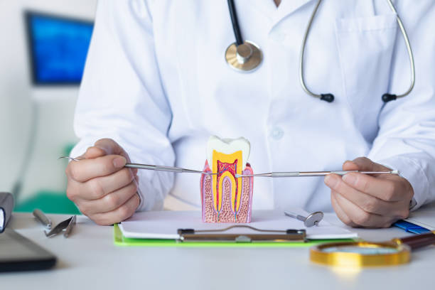 Best Emergency Tooth Extraction in Plainview, TN
